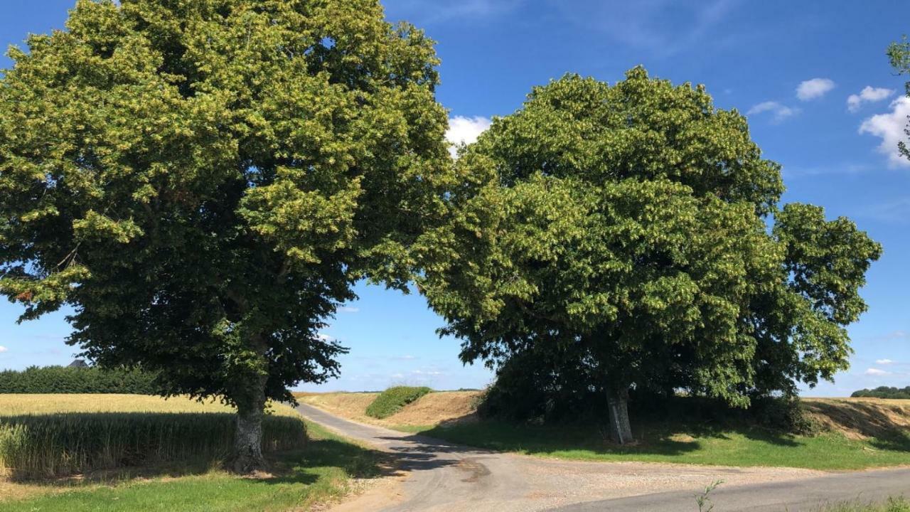 Le Gite De Ballage Chemille-Sur-Deme Buitenkant foto